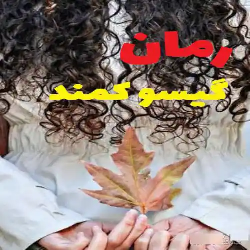 رمان گیسوکمند اثر نگین حبیبی جلد دوم