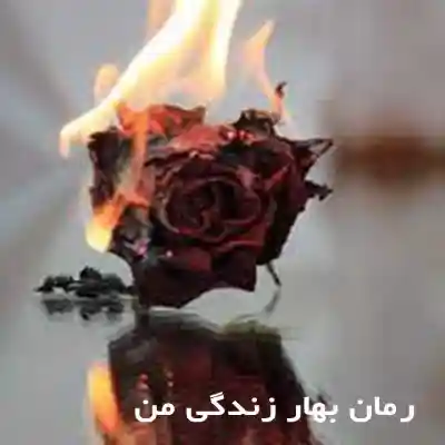 رمان بهار زندگی من اثر مهری هاشمی