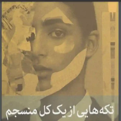 کتاب تکه هایی از یک کل منسجم
