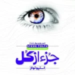 رمان جز از کل