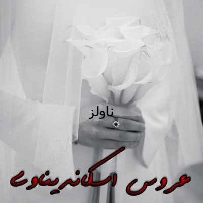 دانلود رمان عروس اسکاندیناوی اثر شقایق لامعی