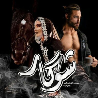 رمان شوگار آرزو نامداری