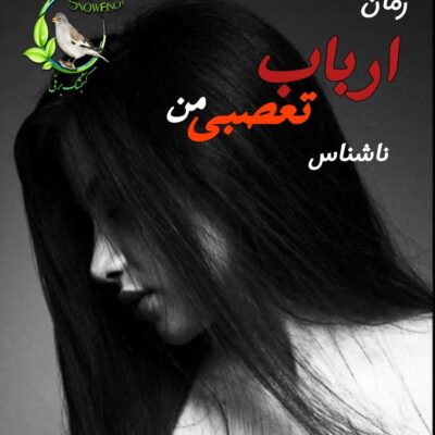 دانلود رمان ارباب تعصبی من