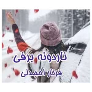 دانلود pdf رمان ناردونه برفی اثر فرناز احمدلی