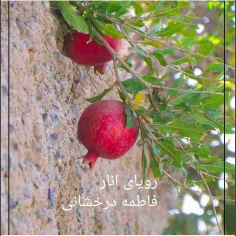 دانلود رمان رویای انار اثر فاطمه درخشانی
