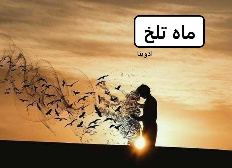 دانلود رمان ماه تلخ اثر ادوینا