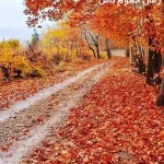 دانلود pdf رمان خانوم باش