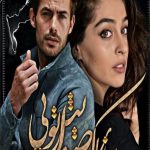 دانلود رمان سازی که صدایش تویی اثر هنگامه امیدی