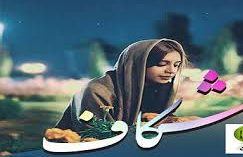 دانلود رمان شکاف اثر بهار سلطانی