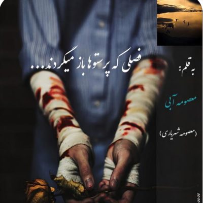 رمان فصلی که پرستو ها باز میگردند اثر معصومه آبی