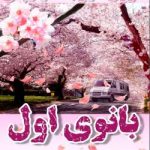 دانلود رمان بانوی اول اثر سوزان الیزابت فیلیپس