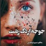 دانلود رمان جوجه اردک زشت اثر نسیم ابراهیمی