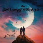دانلود رمان دو پرنده بی سرزمین جلد اول اثر یگانه اولادی