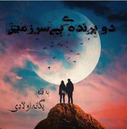 دانلود رمان دو پرنده بی سرزمین جلد اول اثر یگانه اولادی