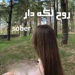 دانلود رمان روح لکه دار جلد پنجم هیچکسان اثر sober