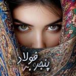 دانلود رمان پنجره فولاد اثر هانی زند