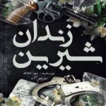 دانلود رمان زندان شیرین جلد دهم زیبایی ناقص