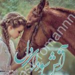 دانلود رمان آتش سودای دل اثر مبینا نورافکن