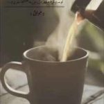 دانلود رمان این شهر مرا با تو نمیخواست اثر ماهی فاطمی