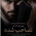 دانلود رمان تصاحب شده جلداول بانکدار میلیاردر